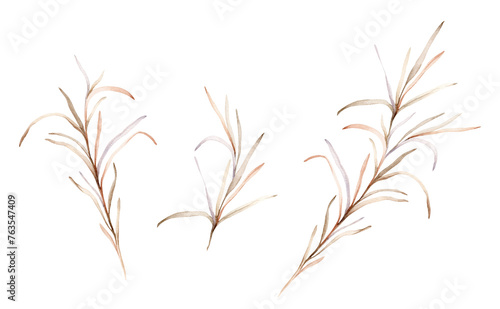 Set of watercolor botanical autumn illustration branches. Autumn floral illustration. Fall vibes. Hand painted drawing isolated on white background. elegant floral herds pastel color. Cute plants