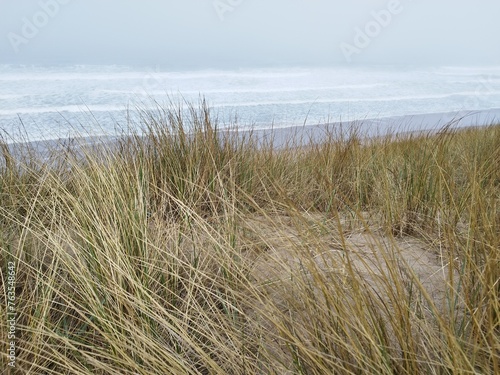 Dune with grasses and sea