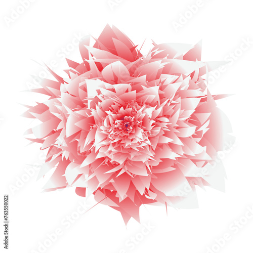 pink flower on white beautiful floral 
