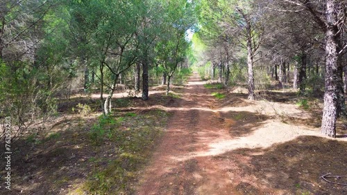 Tranquil Pathways: Capturing the Charm of La Codosera's Rural Roads, Badajoz, Spain photo