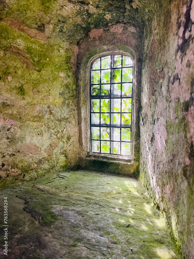 old castle door