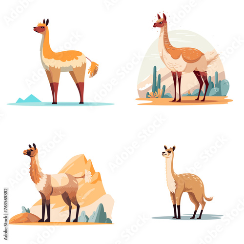 Cute set animal vicuna vector illustration isolated photo