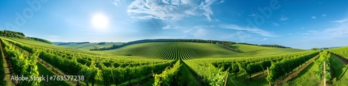 A wide expanse of greenery for a vineyard with a bright blue sky in the background. © Penatic Studio