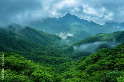 Mountain meadow in morning light. Countryside springtime landscape with valley in fog behind the forest on the grassy hill. Fluffy clouds on a bright blue sky