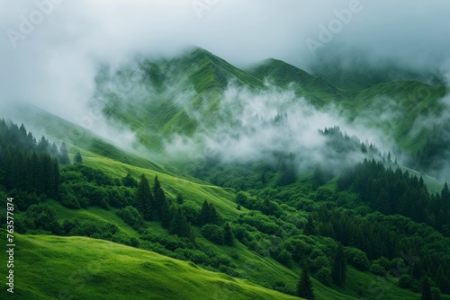 Mountain meadow in morning light. Countryside springtime landscape with valley in fog behind the forest on the grassy hill. Fluffy clouds on a bright blue sky