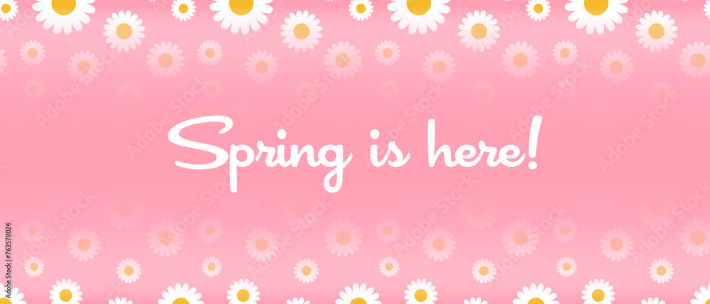 Vector lettering illustration of Spring is here for Happy holidays greeting card. Lettering celebration logo. Typography for spring holidays. Calligraphic poster on pink background or banner.
