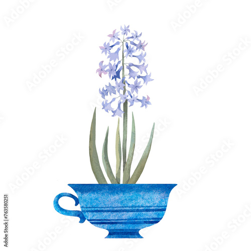 Hyacinth in a cup. Watercolor illustration, postcard.