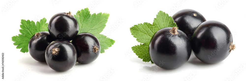 black currant with leaf isolated on white background black currant with leaf isolated on white background
