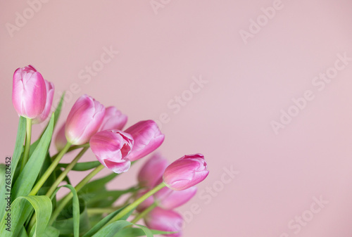 Pink Spring Flowers Tulips, Light Baby Girl Pink Background Beautiful Sweet Cheerful Wallpaper, May Mothers Day, Grow and Bloom, Joyful Seasonal  © Ashley