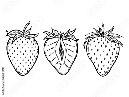 Vector strawberries set, line art drawing, hand drawn botanical outline illustration. Summer fruit monochrome drawing. Isolated design elements for coloring book page, background, pattern, packaging.