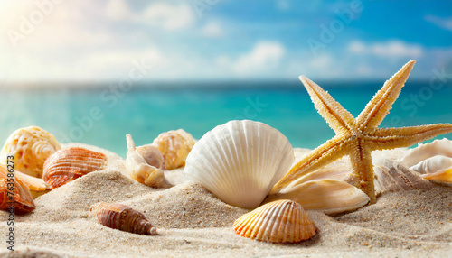 Seashells and sand background. Summer beach sea background.