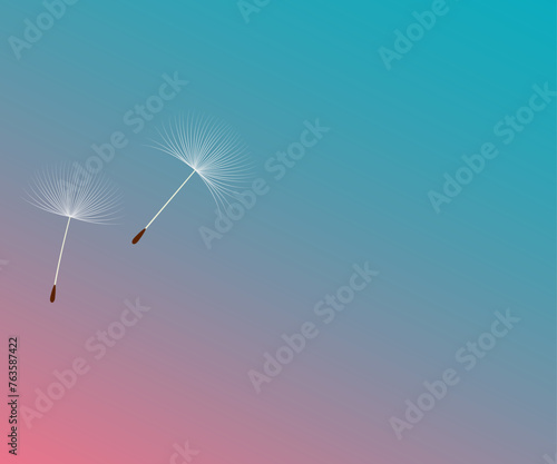 Vector illustration dandelion time. Dandelion seeds blowing in the wind. White Beautiful realistic Dandelion seeds blowing in the wind. The wind inflates a dandelion isolated in editable background.