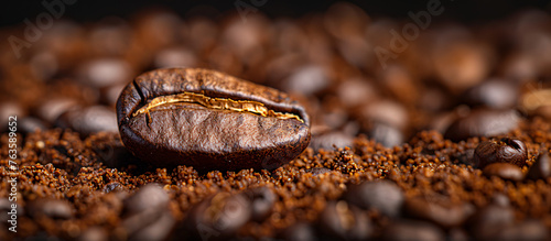 close up of a coffee bean on grounded coffe  