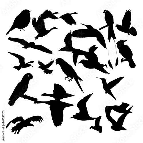 Black flock of bird vector illustration design .
