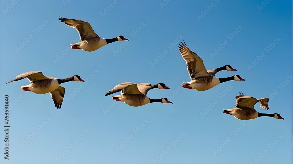 A flock of migrating geese flying in a perfect V formation against a clear blue sky.