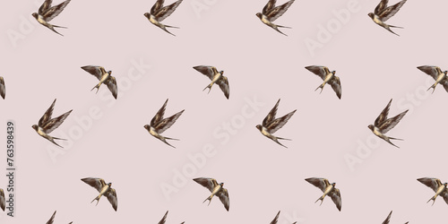 Swallow watercolor clipart illustration seamless pattern birds songbird feathers fauna nature animals ecological © lidianureeva