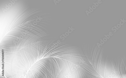 Background of flying realistic vector  goose or swan  feathers.Ecological feather filler for pillows, blankets or jackets.Vector concept design.
