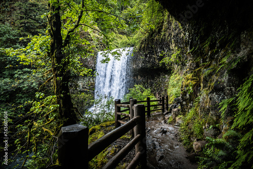 waterfall in the woods