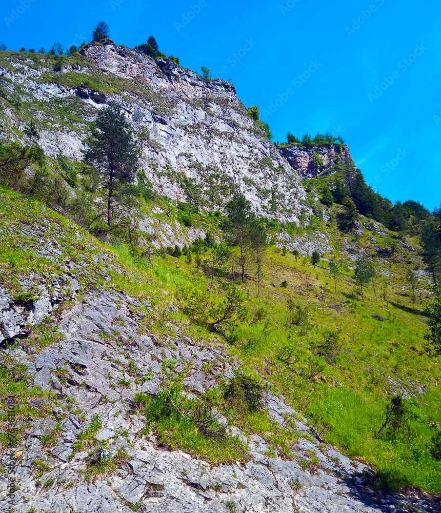 Szlak turystyczny prowadzący przez malowniczy Wąwóz Homole. Jeden z najpiękniejszych szlaków Pienin