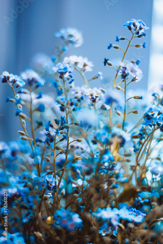 Blue forget-me-not flowers with bokeh