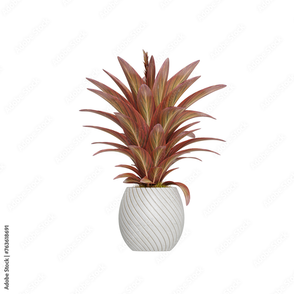 Potted plants placed on a white background Potted plants placed on a white background