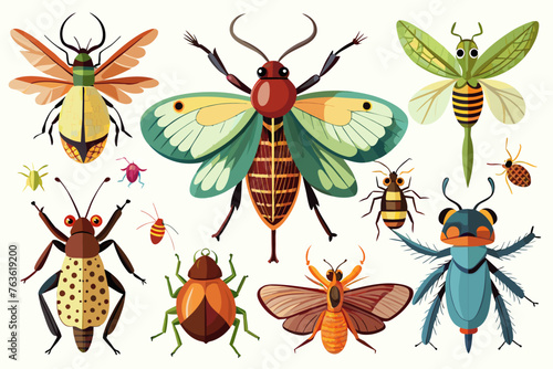  Different-insects collection vector arts illustration
