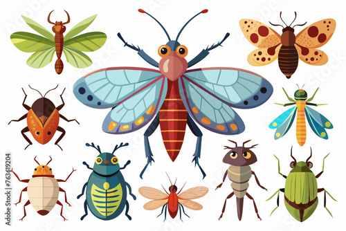  Different-insects collection vector arts illustration © Mohammad