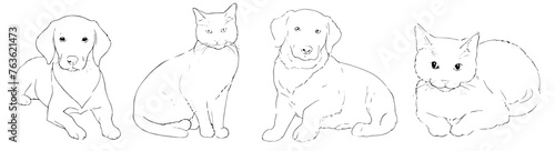 line art of cat and dogs for children drawing books and cutting art photo