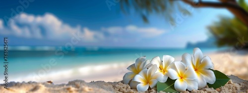 Plumeria (Frangipani) on tropical sea and beach blue sky background, Summer festive time. 