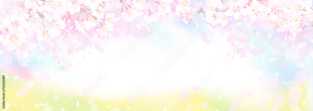 桜と菜の花畑　春の空