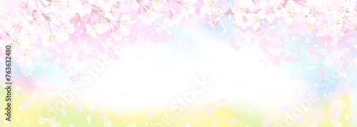 桜と菜の花畑 春の空