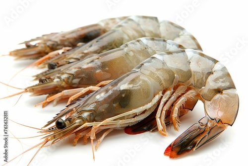 Olna raw shrimp closeup isolated on white background photo