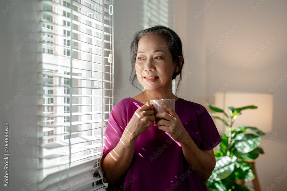 A kind-hearted elderly woman was contentedly spending her free time relaxing and doing various activities in her own home, Image of a happy and quality life of a retired old woman. A kind-hearted elderly woman was contentedly spending her free time relaxing and doing various activities in her own home, Image of a happy and quality life of a retired old woman.