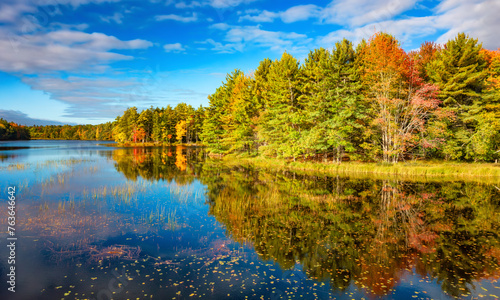 Fototapeta Naklejka Na Ścianę i Meble -  Vibrant trees and landscape by the lake. Nova Scotia, Canada