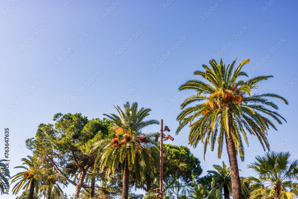 Iconic landmarks of Nice, France