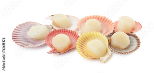 Many fresh raw scallops in shells isolated on white
