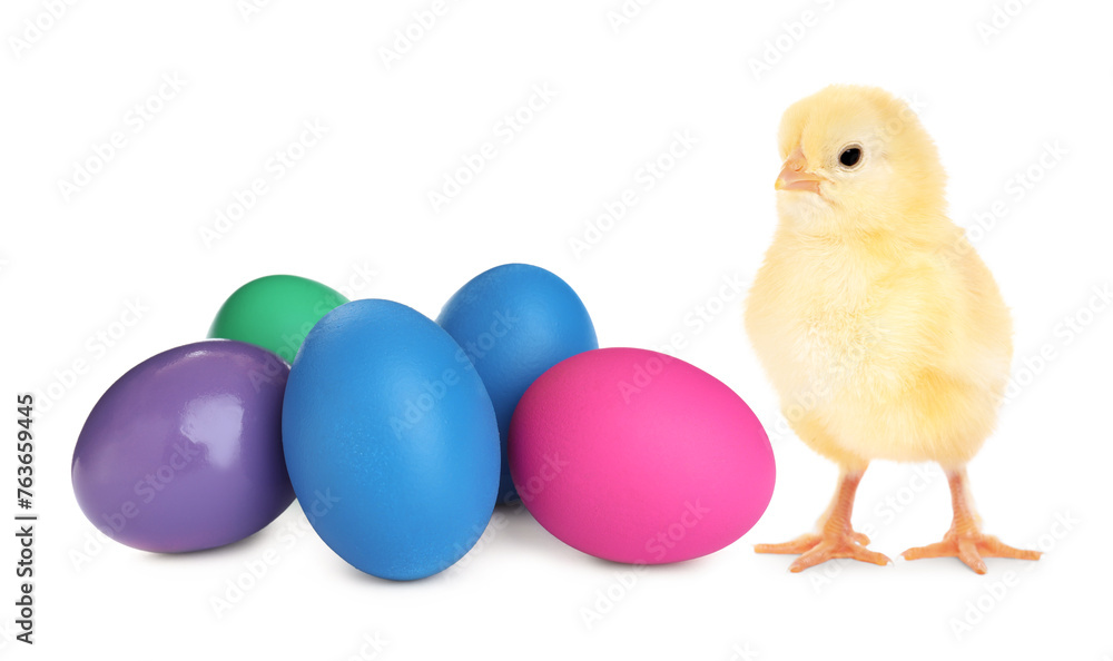Happy Easter. Cute chick and painted eggs isolated on white