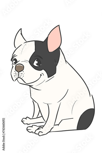 This is an illustration of a “black pied” French bulldog in a 