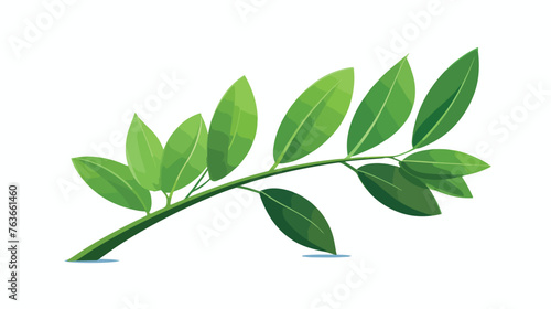 Single green leaf and acai berry foliage. flat 