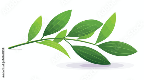 Single green leaf and acai berry foliage. flat © iclute