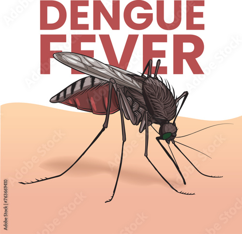 Illustration of dengue fever mosquito