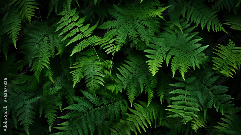Obraz premium leafy green fern background