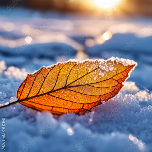 Autumn leaf in the snow at sunset. Beautiful nature background.