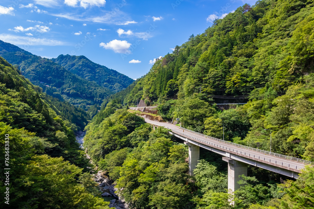 夏の徳島県で見た、大歩危渓谷の風景と青空