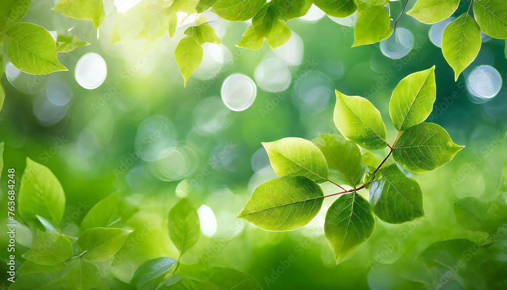 Glittering green leaves. Fresh green. Background material with a blurred feel. Glittering green leaves. Fresh green. Background material with a blurred feel.