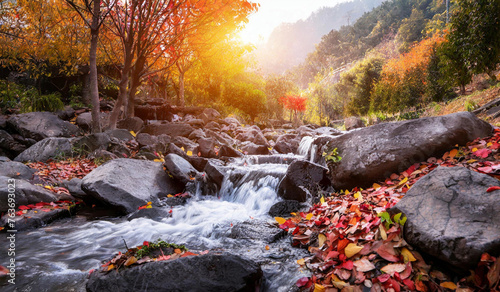 stream in autumn forest in the morning