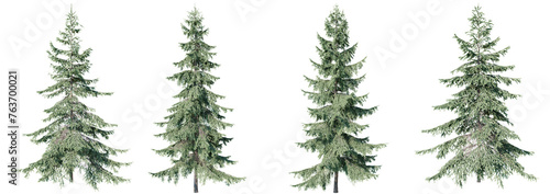 Set of Spruce green tree isolated on transparent background 3d PNG
