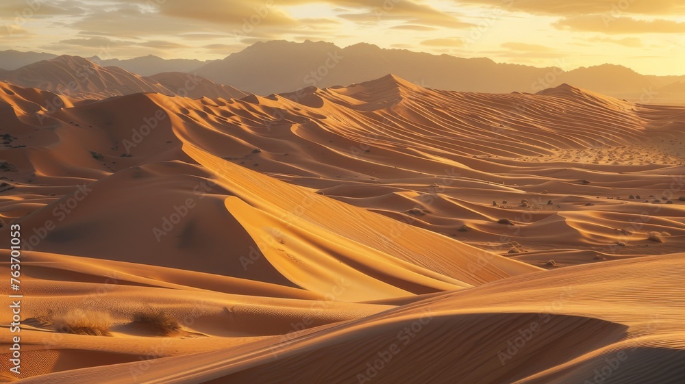 Fototapeta premium sunset in the desert