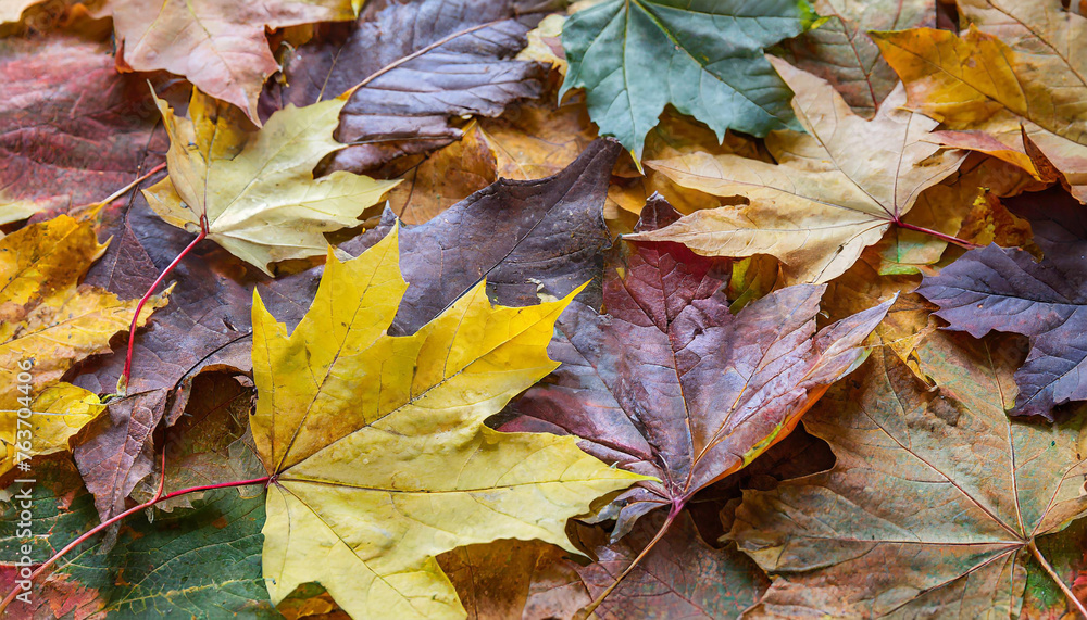 full frame background consisting of pile of multicolored autumn leaves placed one on another