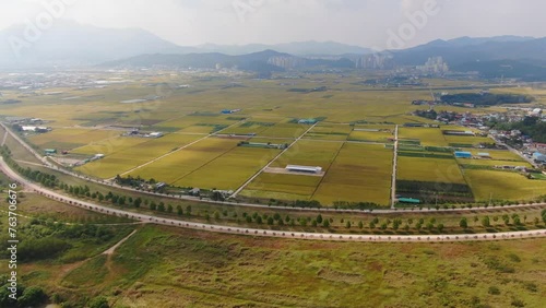 Autumn harvest plain scenery in Goepyeong-ri, Gumi-si, Gyeongsangbuk-do, South Korea photo